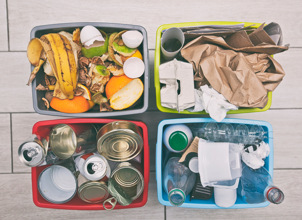 Ordures ménagères : le tri des épluchures et autres déchets de cuisine  arrive à Paris