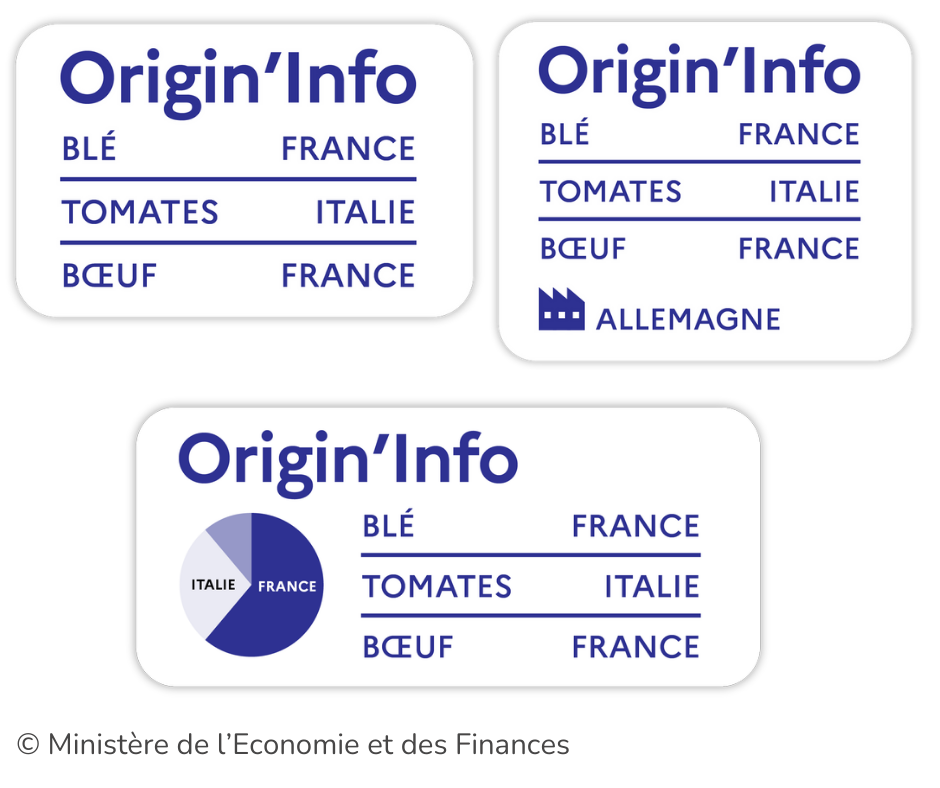 Les trois formats du logo Origin'Info