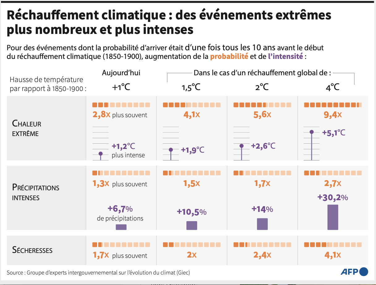 iNFOGRAPHIE afp