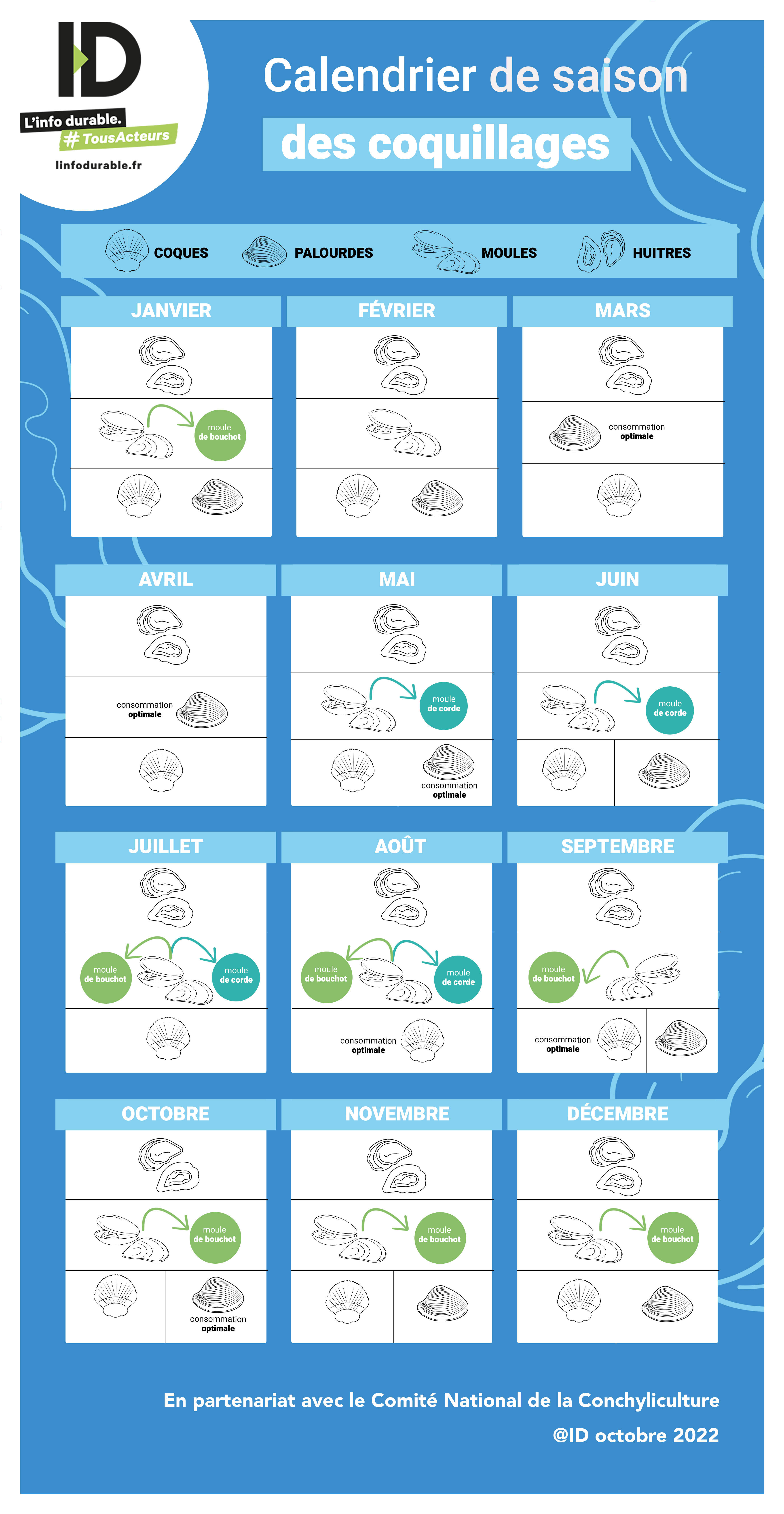 cnc coquillages saison calendrier