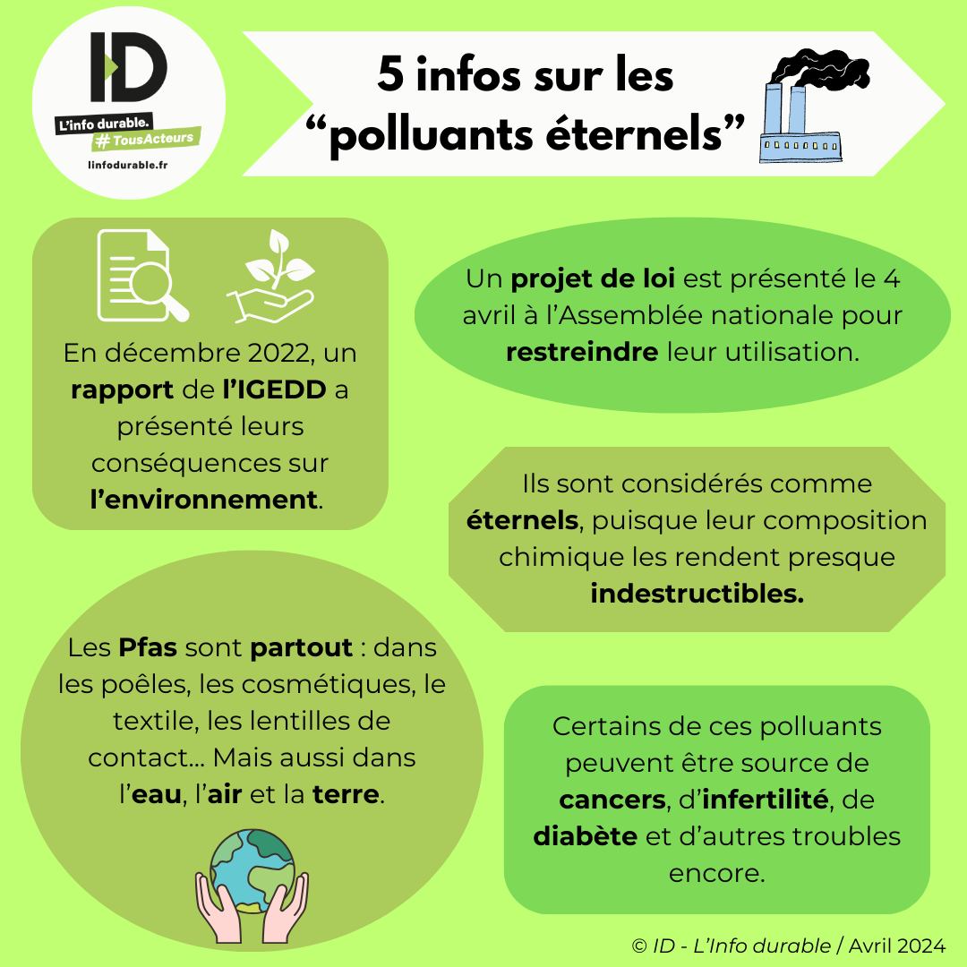 Infographie polluants éternels