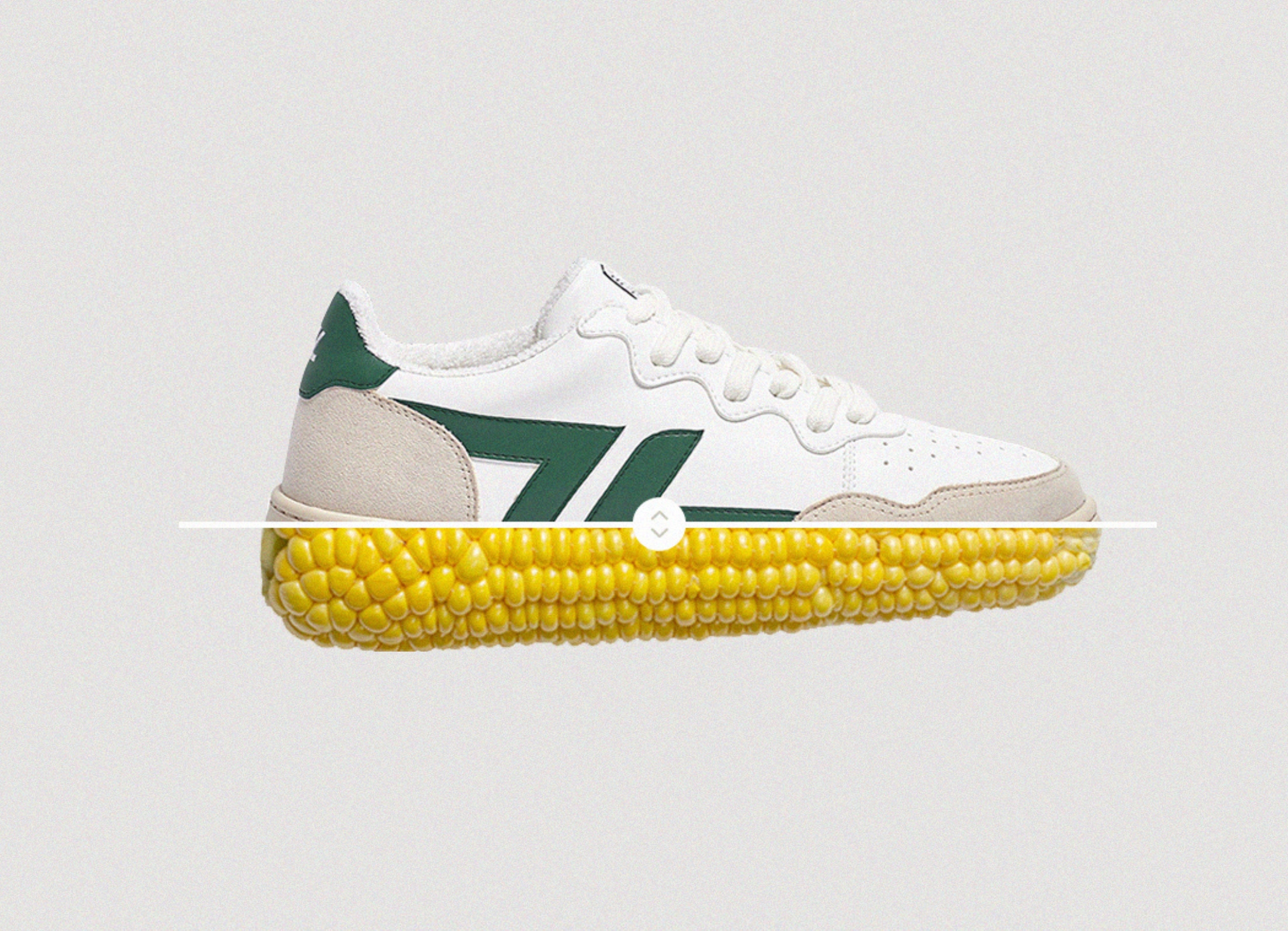 bêta b1 vert