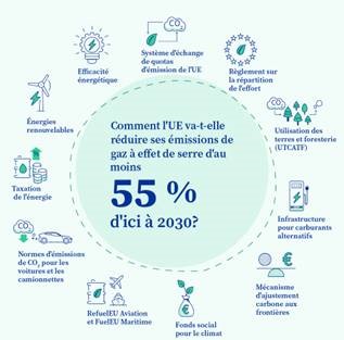 LES PLANS VERTS FLEURISSENT À TRAVERS LE MONDE