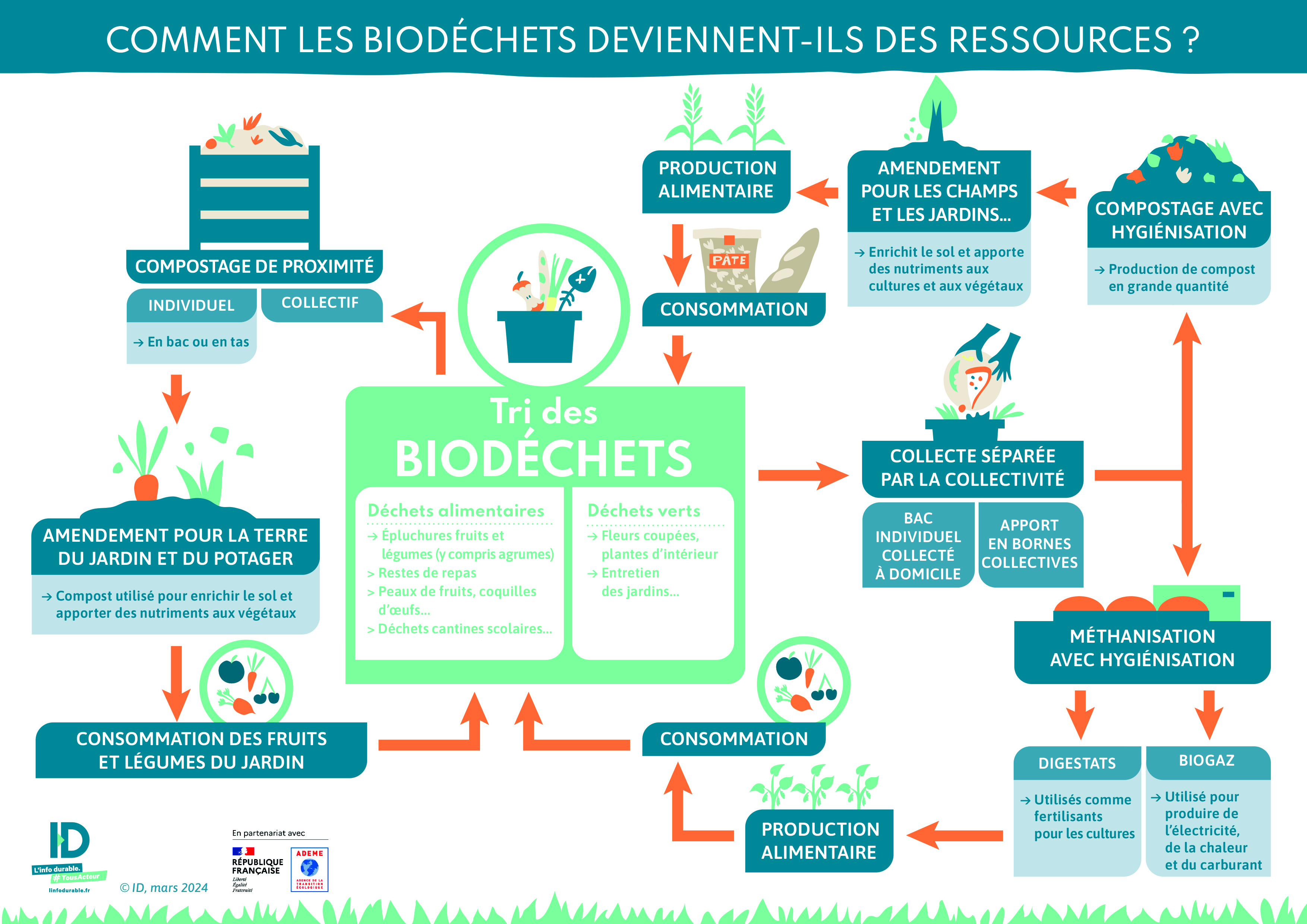 infographie