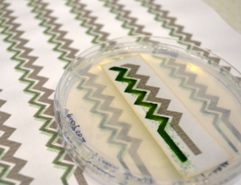 Scarica Gratis Images Angleterre Du Papier Peint Jetable Qui Produit De L Energie dernière salutations