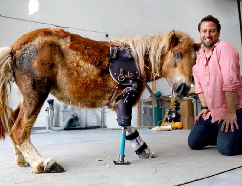Etats Unis Un Homme Cree Des Protheses Pour Animaux