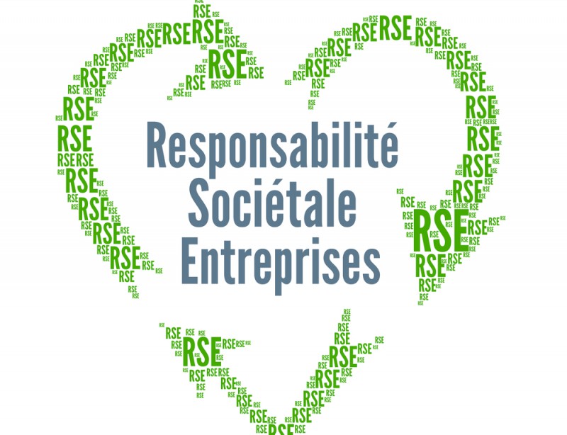 Avec La Rse Les Entreprises Ne Peuvent Plus Uniquement Etre Tournees Vers Le Profit