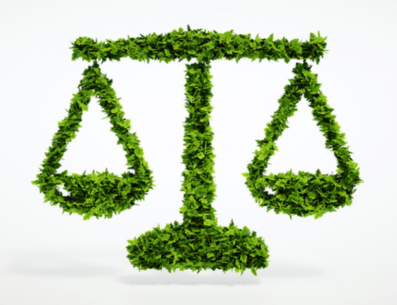 La Protection De L Environnement Face Au Paradoxe Du Droit Mou