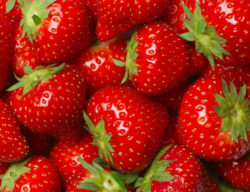 Fraises Y Voir Clair Dans Les Labels Fraises Y Voir Clair Dans Les Labels