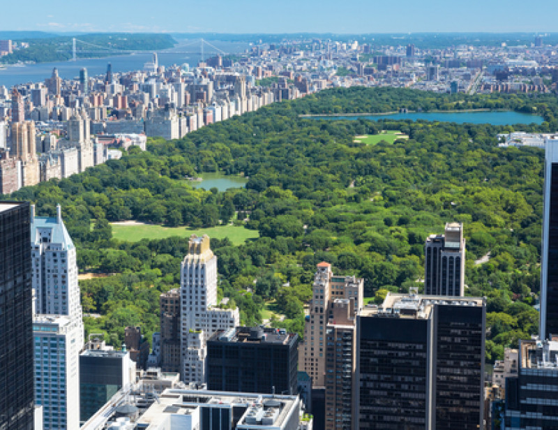 Résultat de recherche d'images pour "image central park"