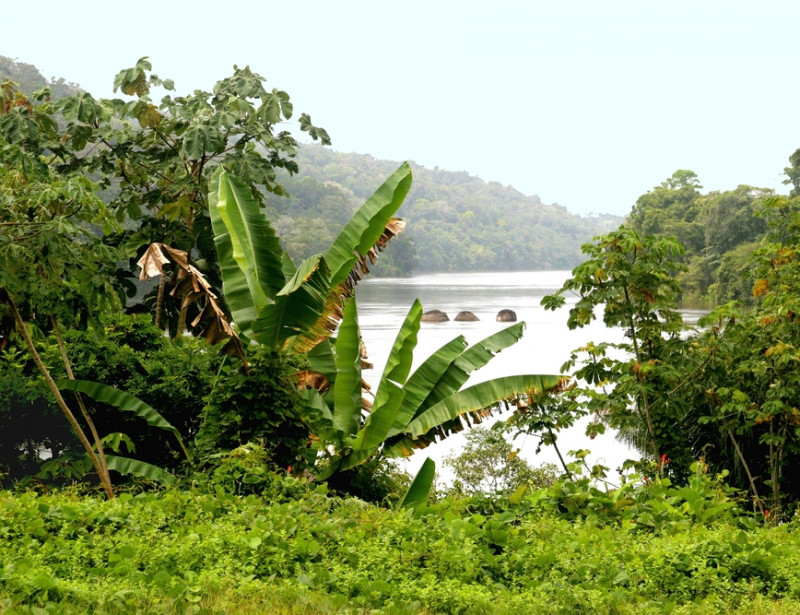 Vers Une Reprise Du Projet Montagne Dor En Guyane