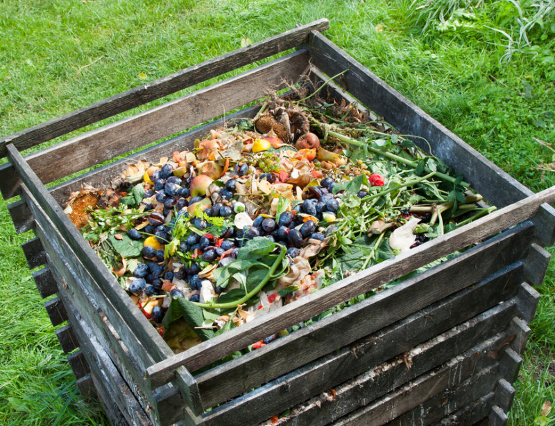 compost