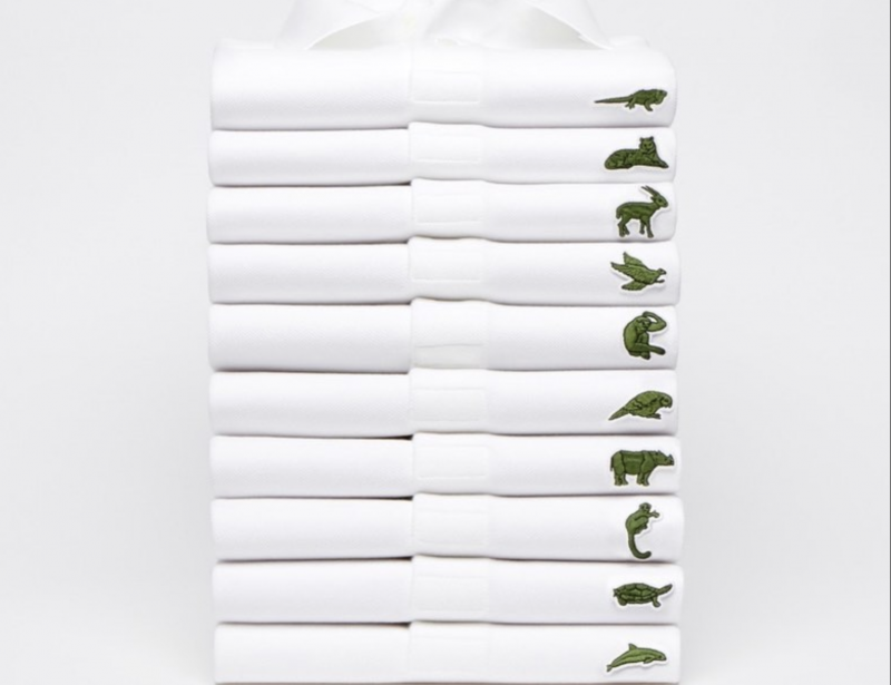 vente flash lacoste