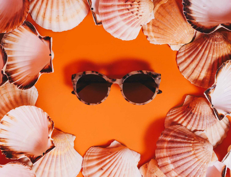 Lunette coquillage recycle clearance