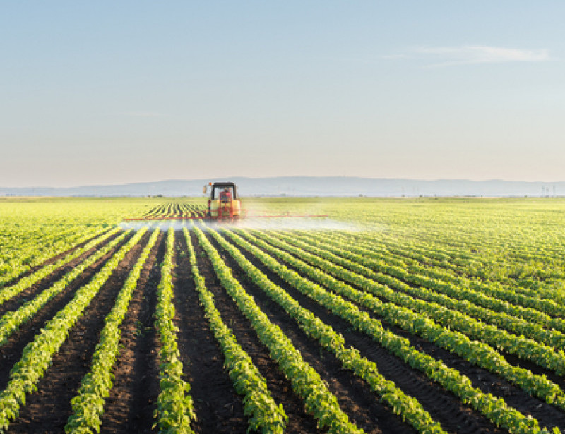 L'agriculture intensive augmente les risques de pandémie, selon une étude