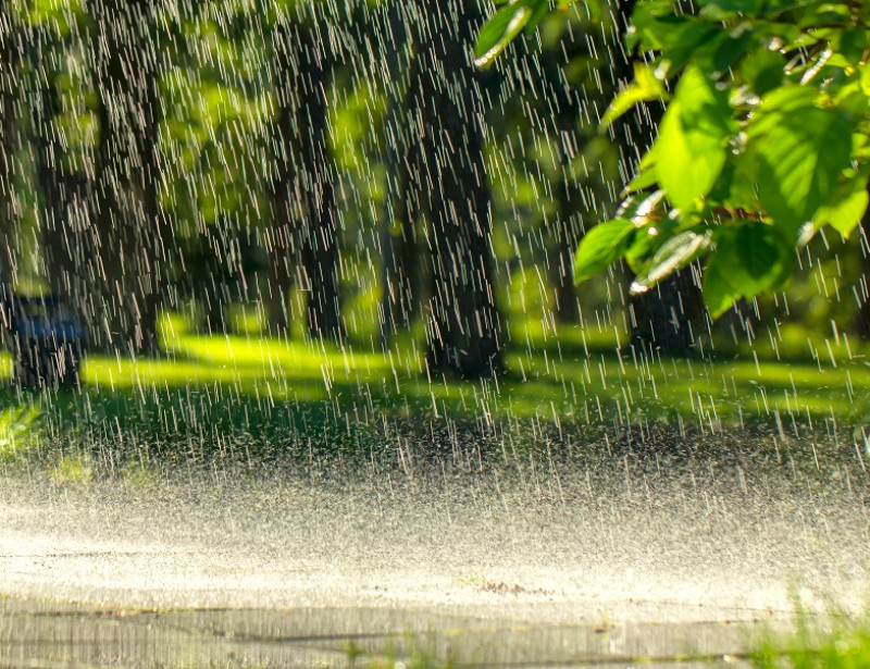 Trois Astuces Pour Reutiliser L Eau De Pluie Trois Astuces Pour Reutiliser L Eau De Pluie