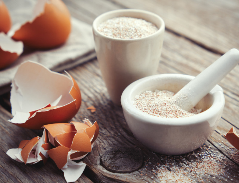Que faire avec ses coquilles d'oeufs?