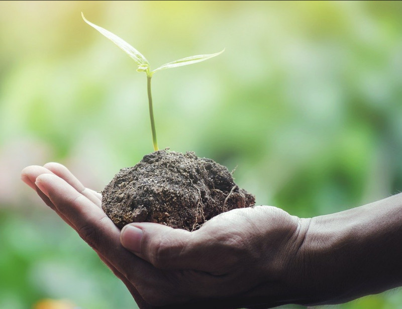 Qu Est Ce Qu Un Produit écoconçu Et Comment Le Choisir Qu Est Ce Qu Un Produit écoconçu Et Comment Le Choisir