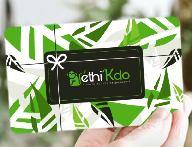 carte cadeau-noel-écologique