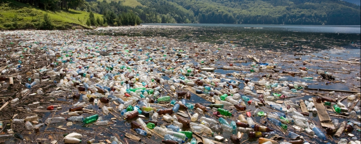 Les pailles en plastique, dévastatrices pour l'environnement 