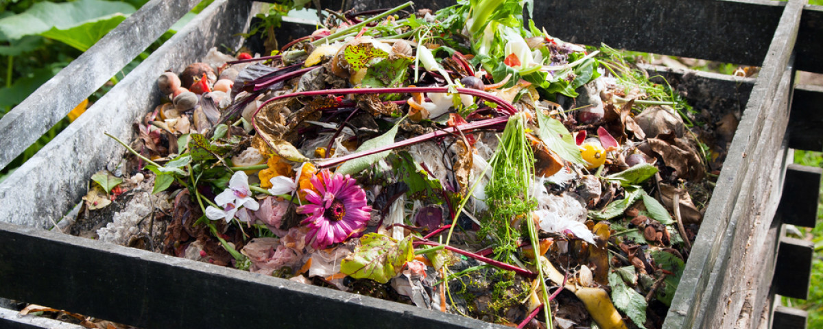 Comment éviter les moucherons dans le compost ? - ComposteurCitizen