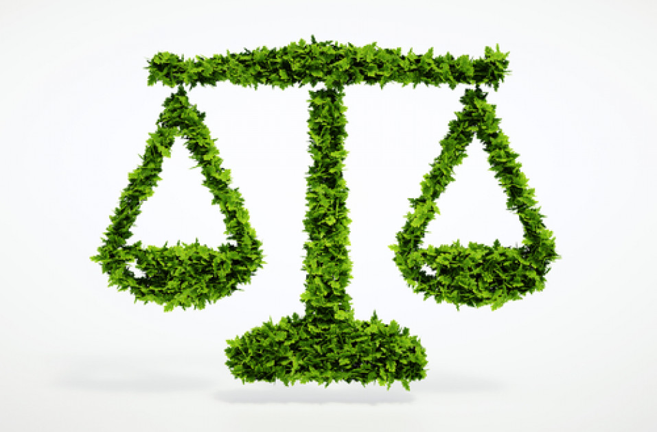 La Protection De L Environnement Face Au Paradoxe Du Droit Mou