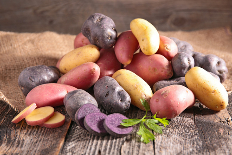 Pomme De Terre Artemis