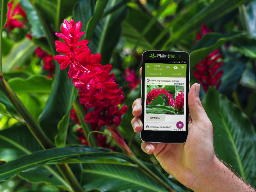 TÉLÉCHARGER PLANTNET POUR ANDROID PLANTNET POUR ANDROID TÉLÉCHARGER