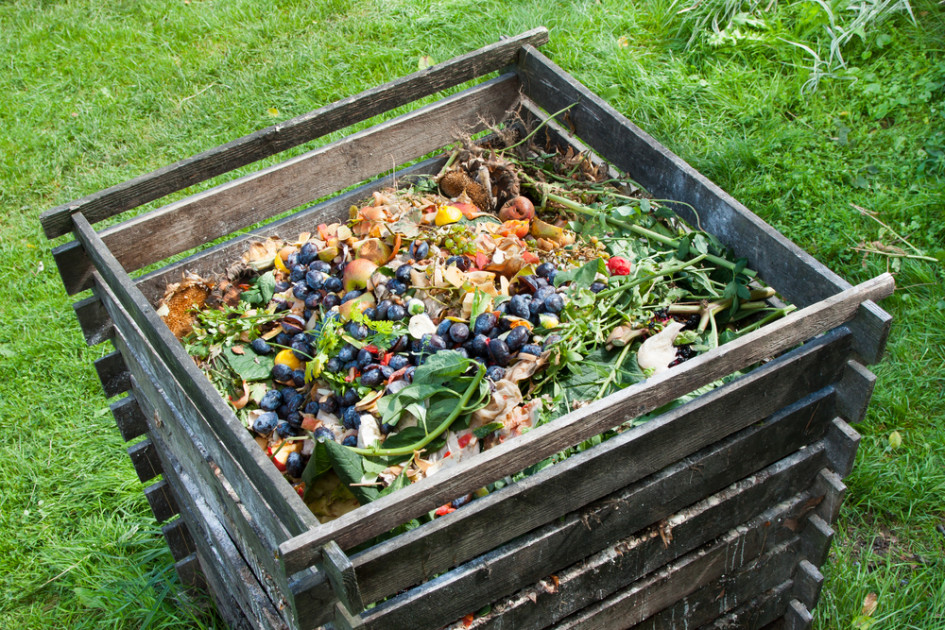 Réglementation autour du compost des déchets organiques : où en
