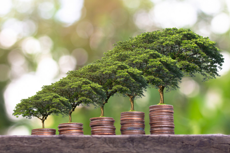 Les 6 grands défis de l'investissement durable en 2023