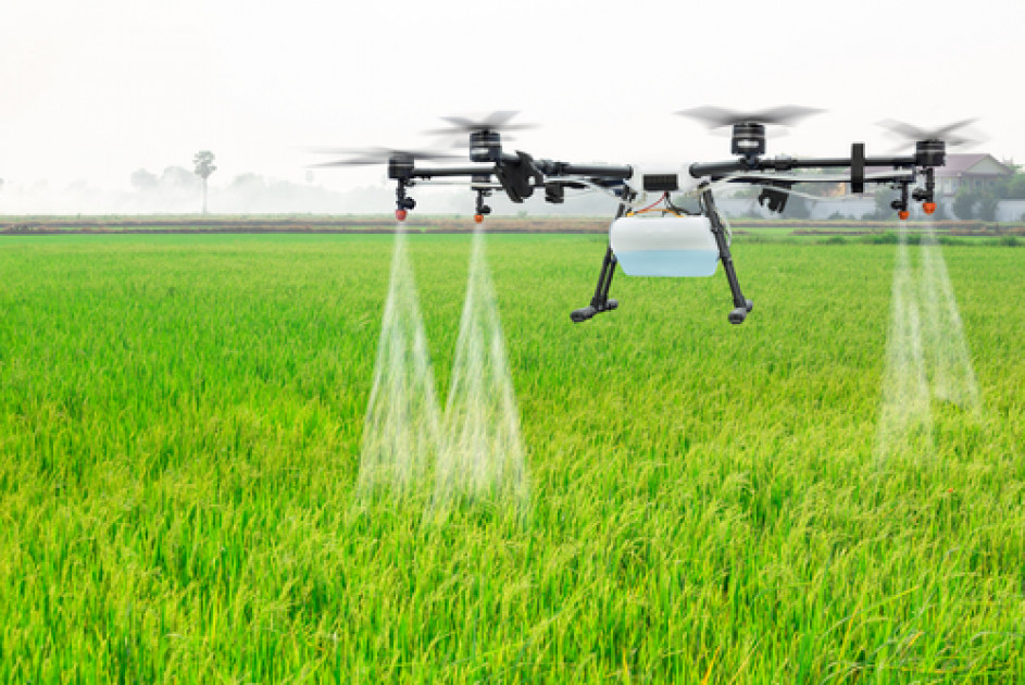 Drone spraying pesticide
