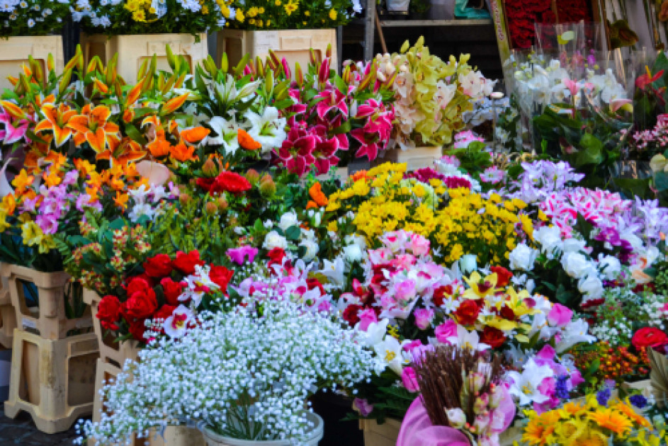 En France, la fleur locale cherche sa place dans les étals