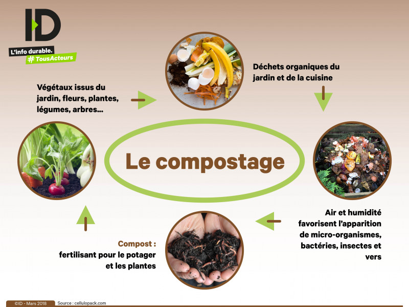 Comment réussir son compost - Hortus Focus I mag