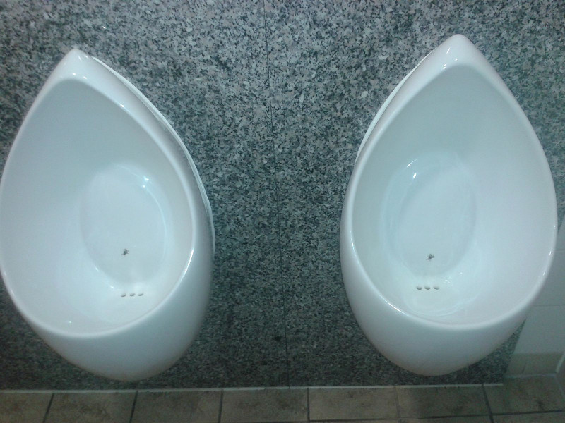 Eviter les pièges de la pensée : Les biais cognitifs Nudge_Toilet_1